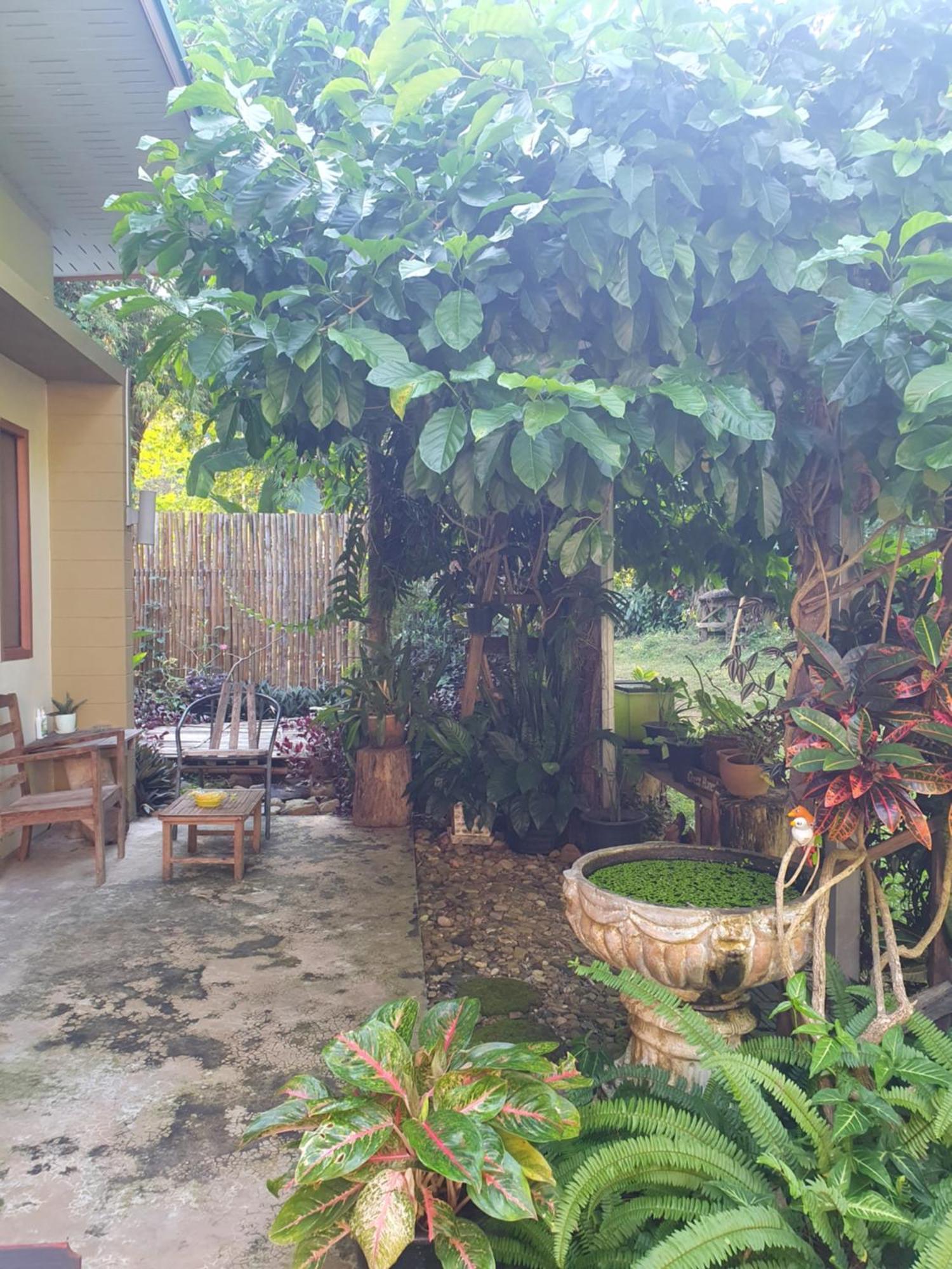 Mind'S Homestay มายด์โฮมสเตย์ Kampong Huaibu Екстериор снимка