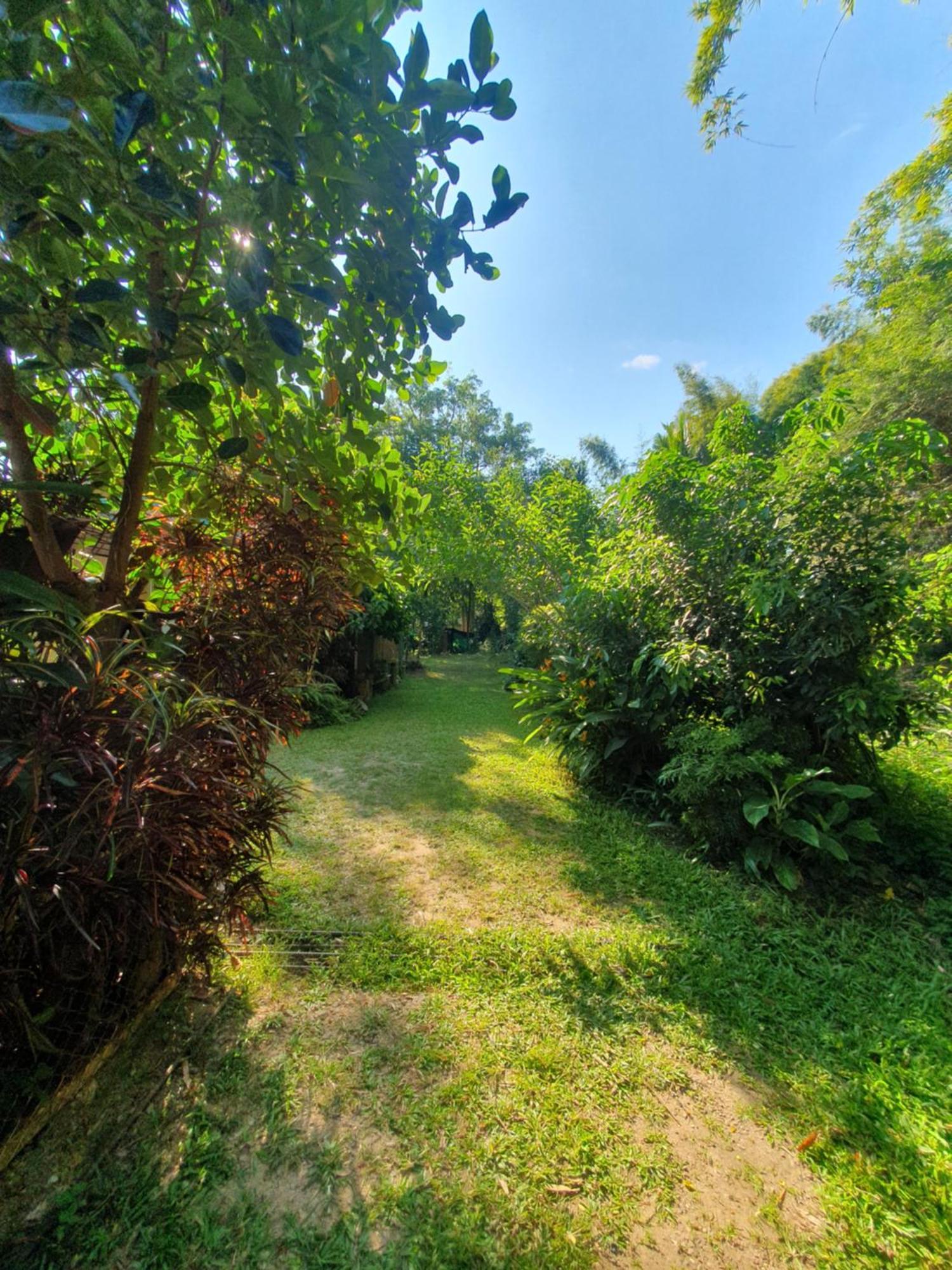 Mind'S Homestay มายด์โฮมสเตย์ Kampong Huaibu Екстериор снимка